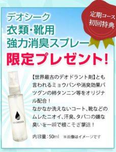 デオシーク定期コース初回特典