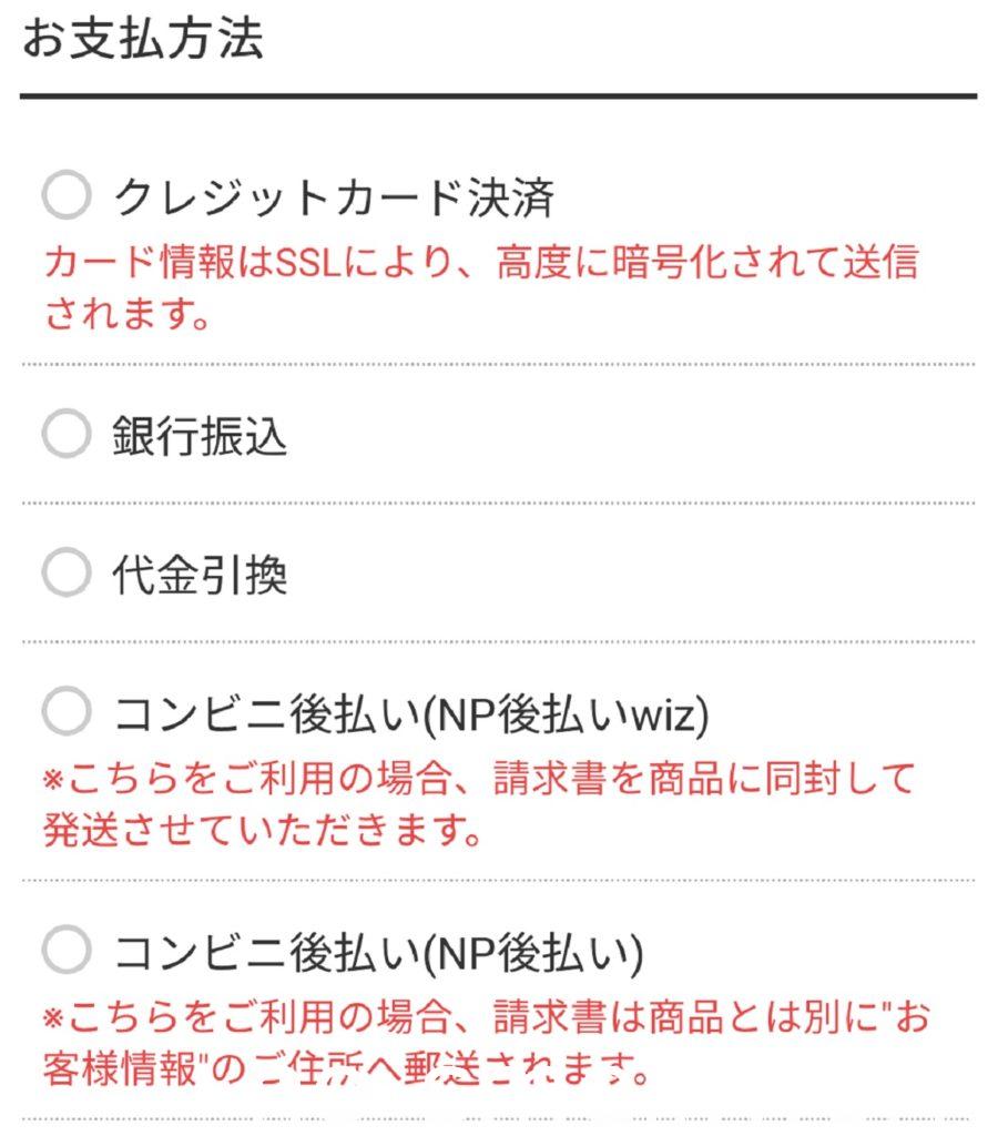 デオシーク支払方法一式